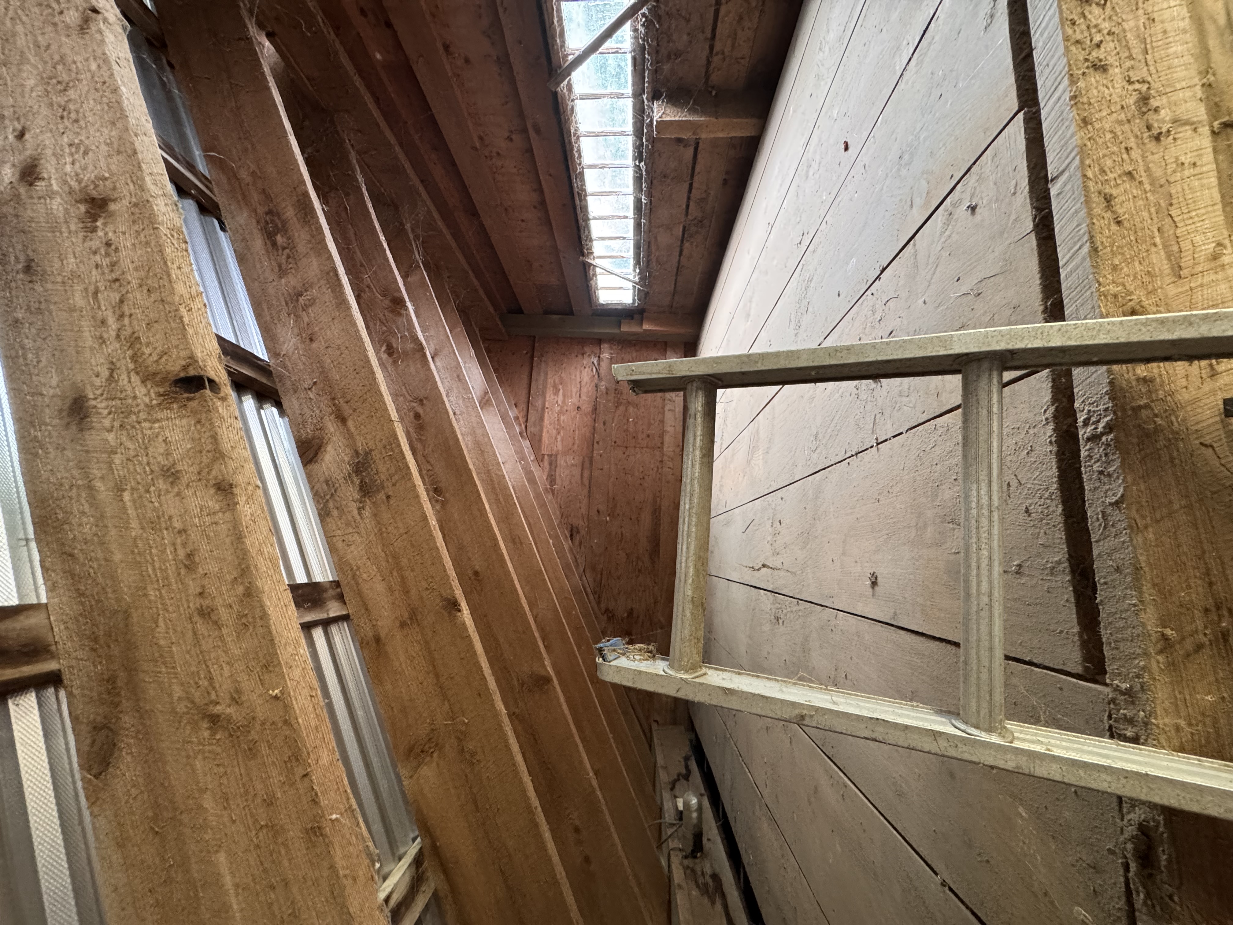 After — attic cleanout