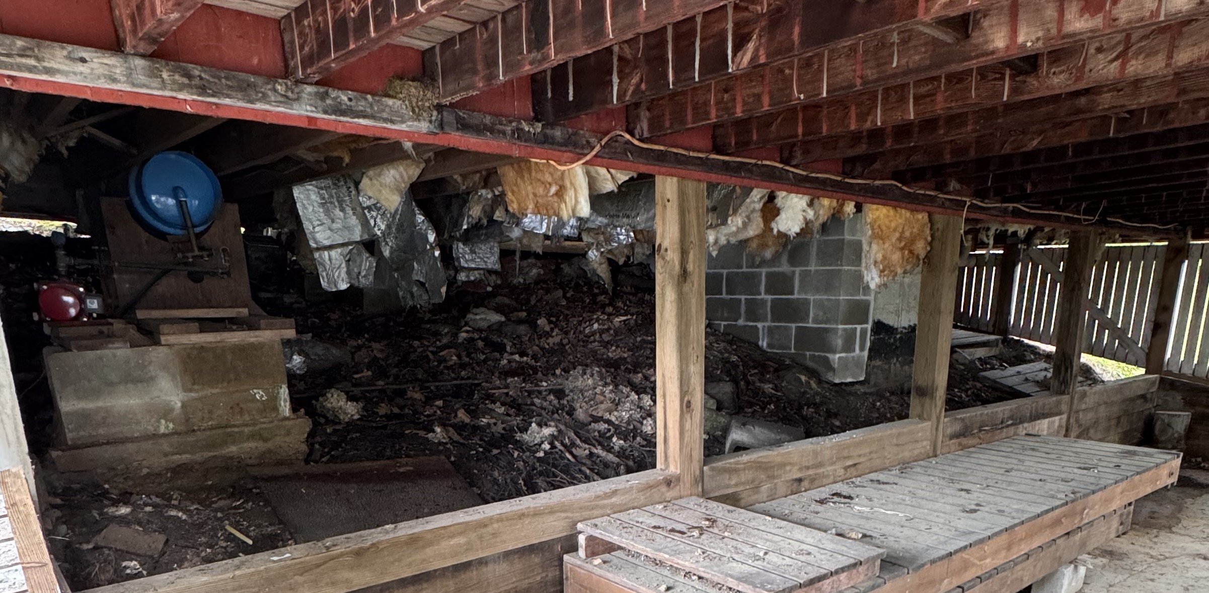 After — basement cleanout