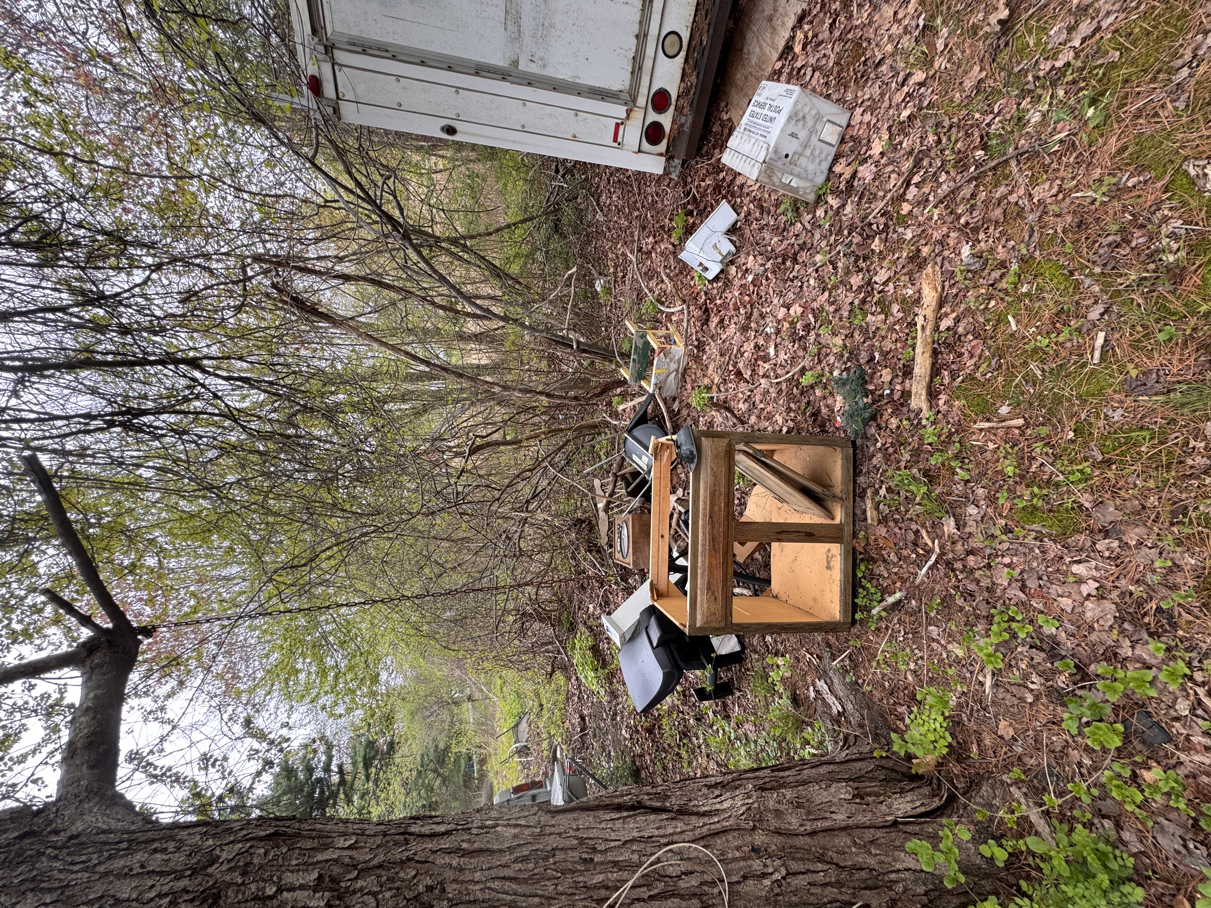 Before — wooded area