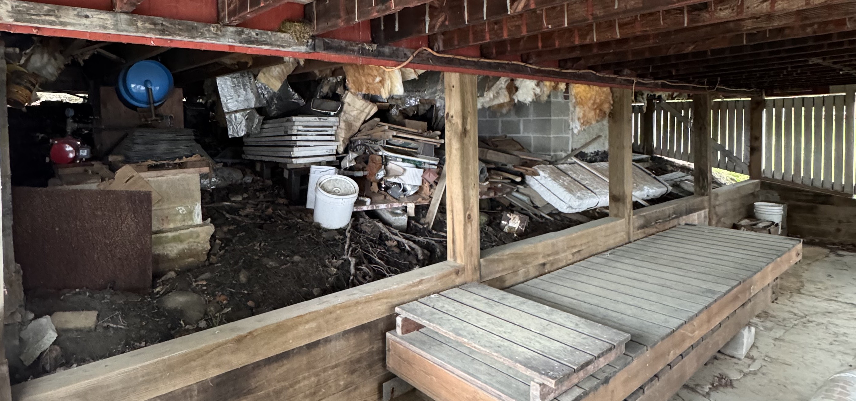 Before — basement cleanout